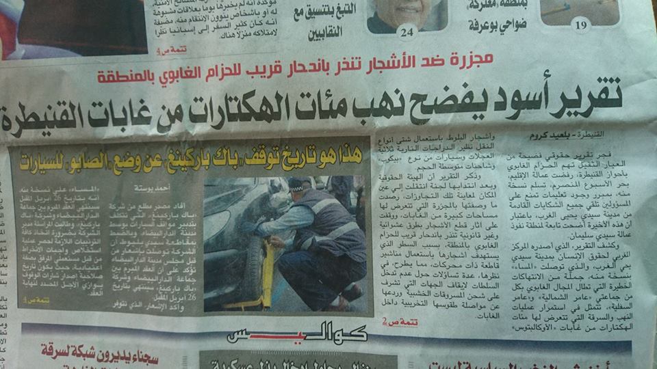 نهب غابات المعمورة