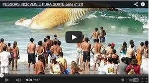 PESSOAS INCRIVEIS E PURA SORTE parte n° 2 !!