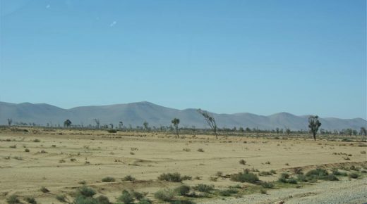 PROVINCE DE GUELMIM : PLUS DE 7 MDH POUR VALORISER LES RESSOURCES FORESTIÈRES D’ABAYNO