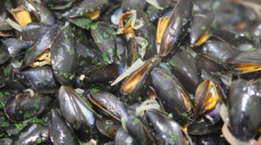 DOUIRA-SIDI R’BAT À AGADIR : LEVÉE D’INTERDICTION SUR LA RÉCOLTE DES COQUILLAGES