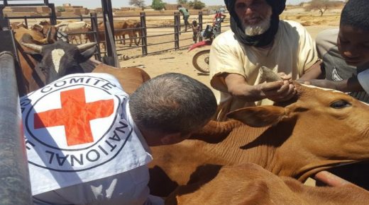 Mauritanie : Enregistrement de 20 nouveaux cas de Fièvre de la Vallée du Rift
