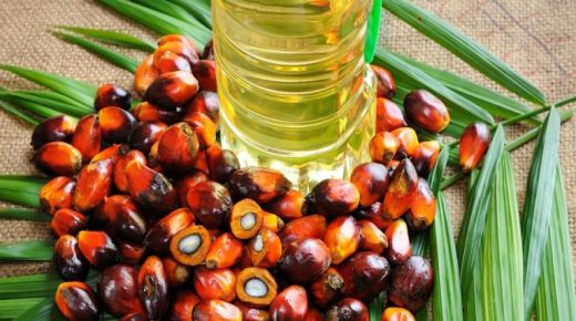 Le gouvernement relève sa production d’huile de palme