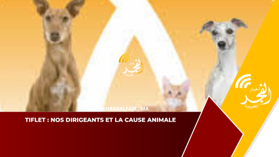 Tiflet : Nos dirigeants et La cause animale