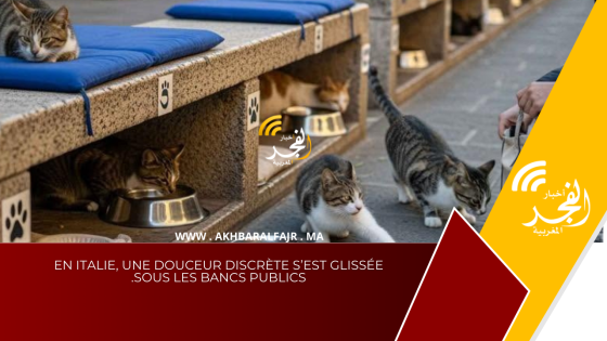 En Italie, une douceur discrète s’est glissée sous les bancs publics.