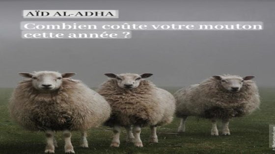 Aid El KébirLa dure épreuve